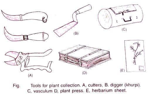 Tools for Plant Collection